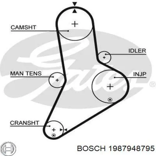 Зубчатый ремень Bosch 1987948795 цена, от 26.41 USD