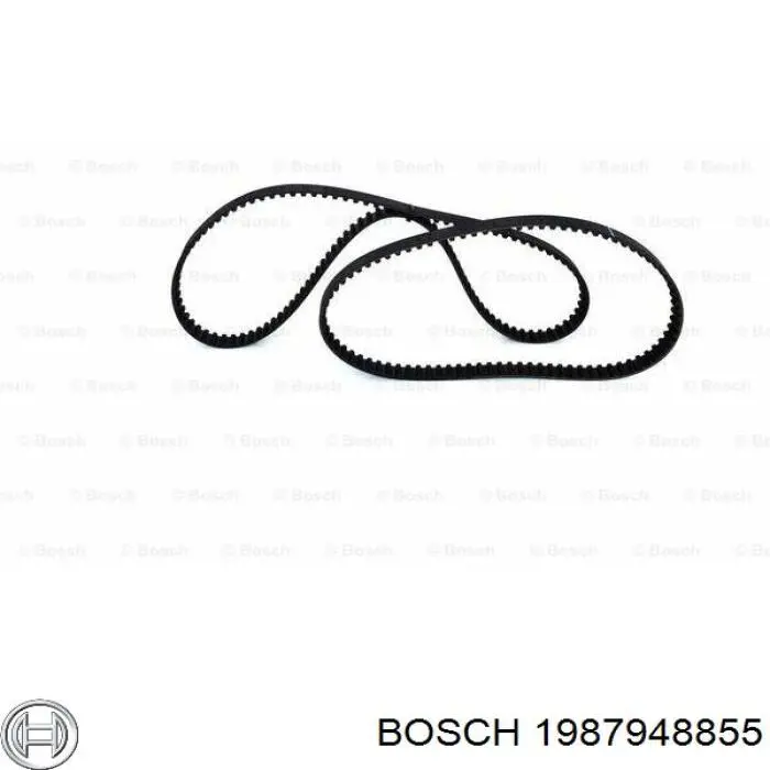 1987948855 Bosch ремень тнвд