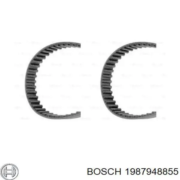 Correa, bomba de alta presión 1987948855 Bosch