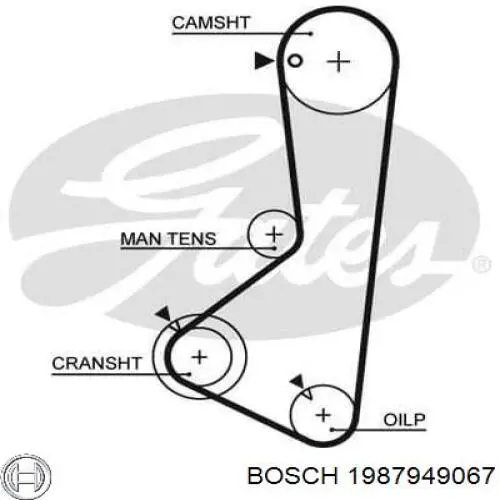 ГРМ ремни Bosch 1987949067
