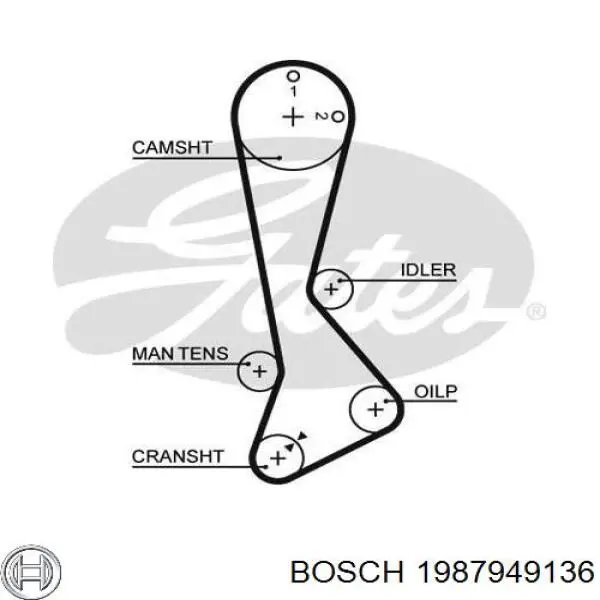 Ремень ГРМ 1987949136 Bosch