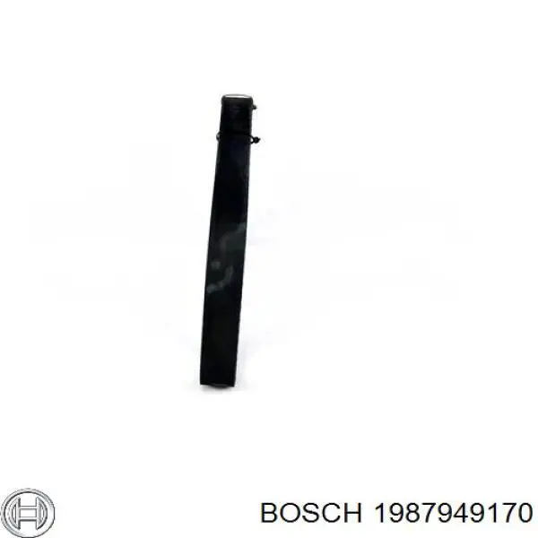 Correa distribucion 1987949170 Bosch