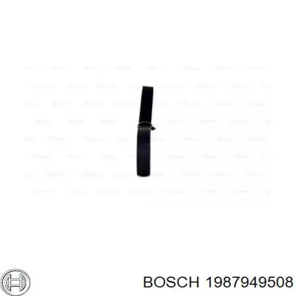 Correa distribucion 1987949508 Bosch