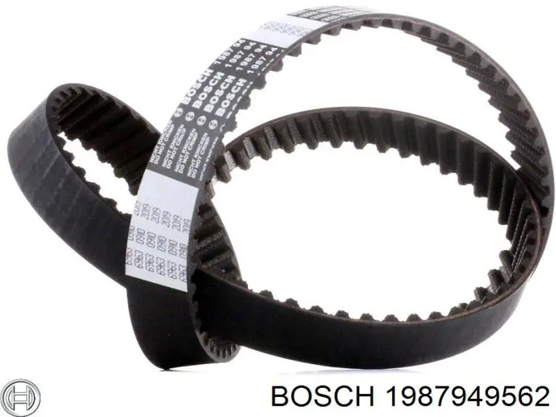 Correa distribucion 1987949562 Bosch