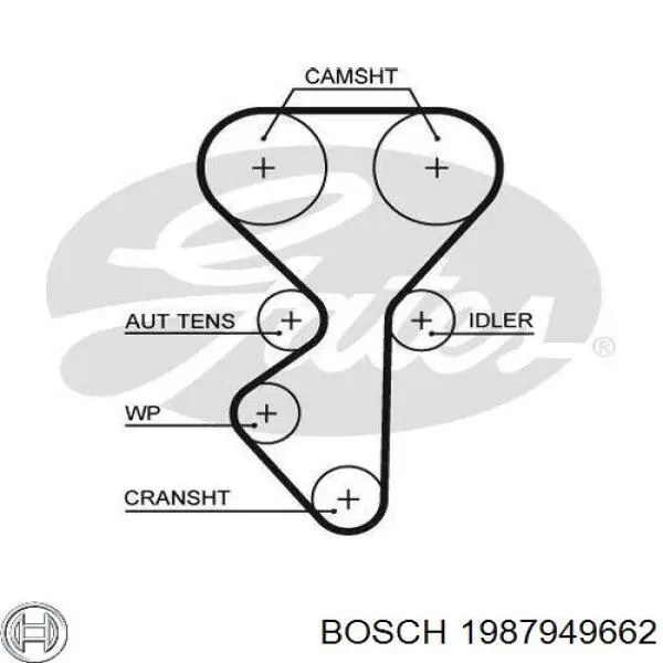 Ремень ГРМ 1987949662 Bosch