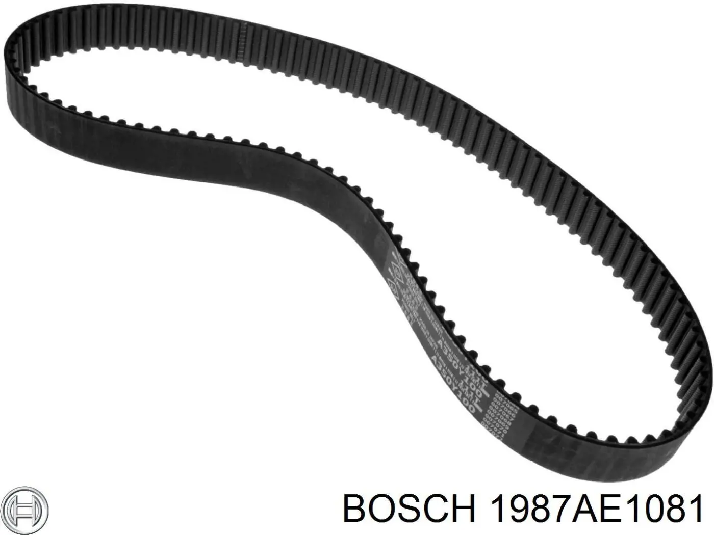 Ремень ГРМ 1987AE1081 Bosch