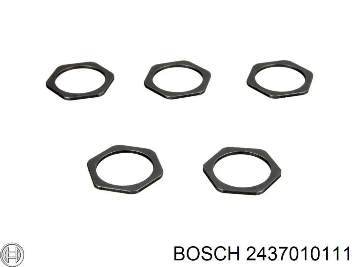 2437010111 Bosch Распылитель форсунки