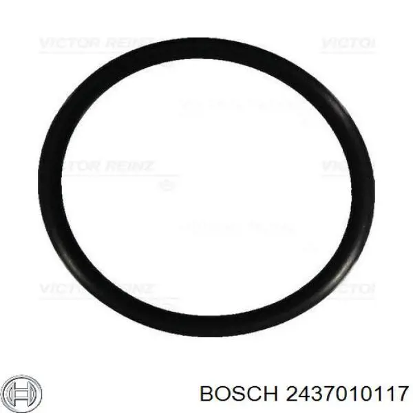 2437010117 Bosch Распылитель форсунки