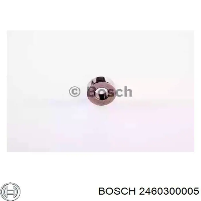 2460300005 Bosch 