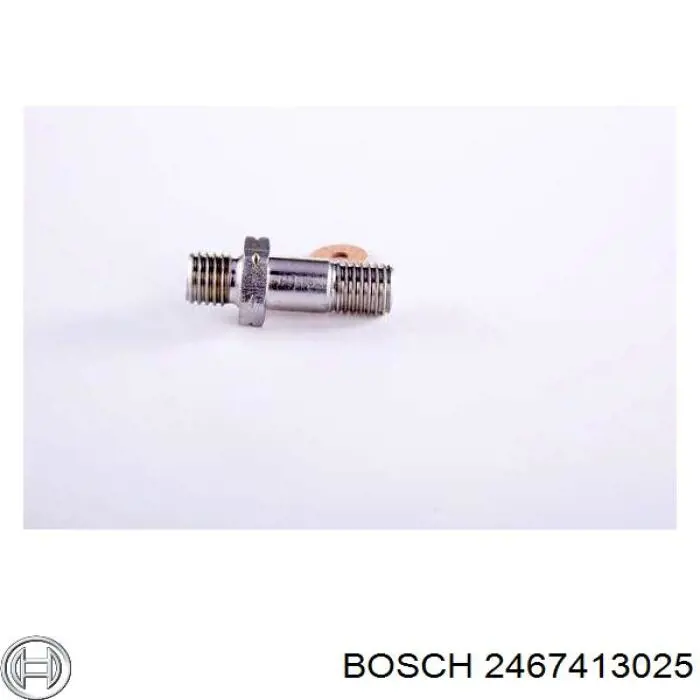 2467413025 Bosch Банджо-болт