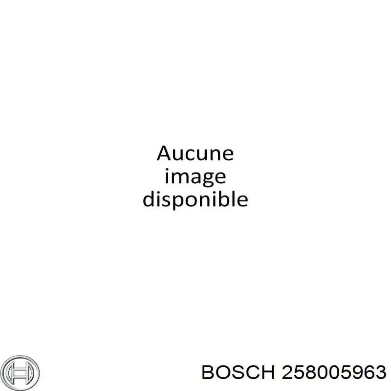  258005963 Bosch