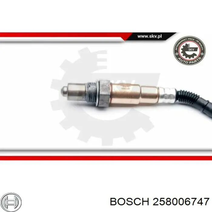 Купить 258006747 Bosch 