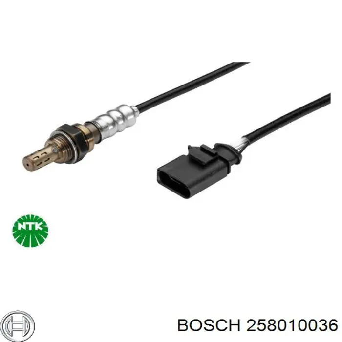 258010036 Bosch