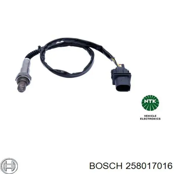 258017016 Bosch sonda lambda, sensor de oxigênio até o catalisador