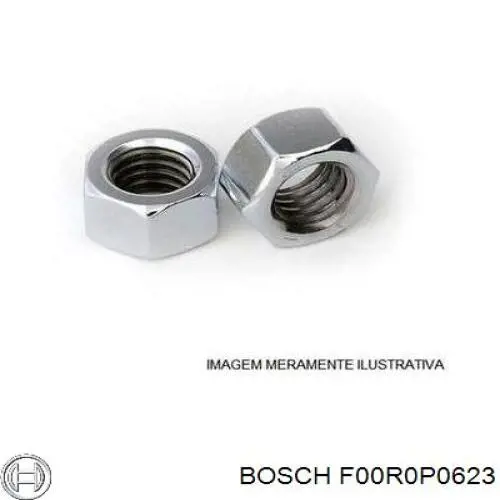 F00R0P0623 Bosch 