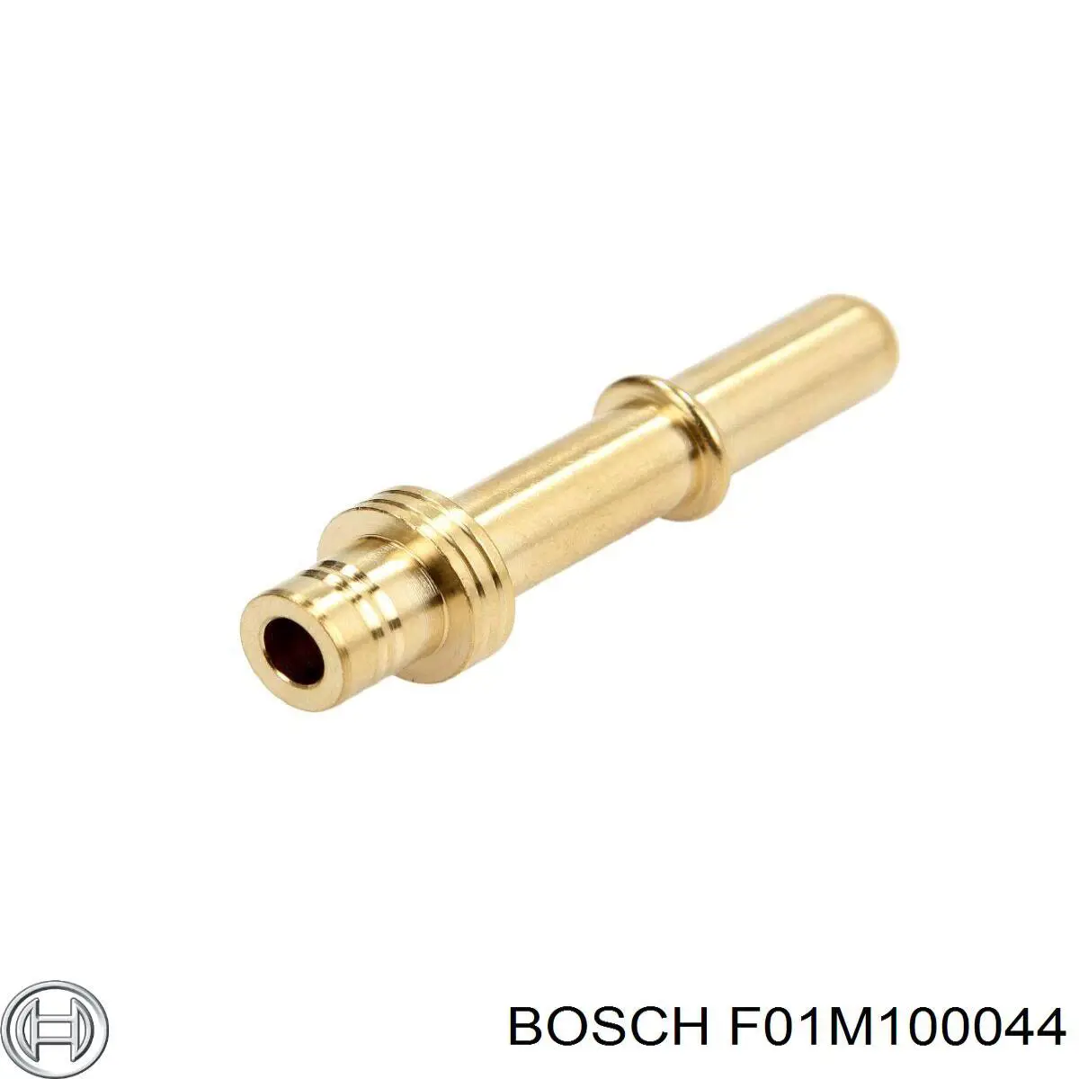  F01M100044 Bosch