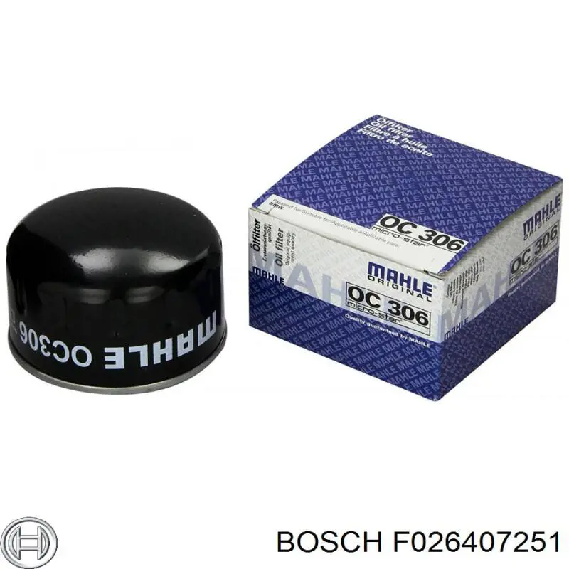 Filtro de aceite F026407251 Bosch