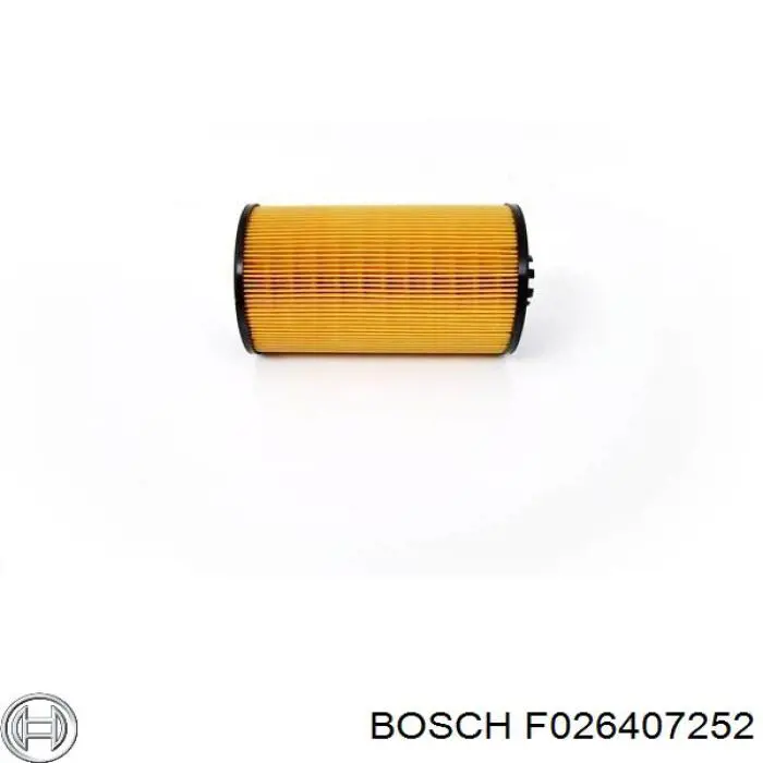 Filtro de aceite F026407252 Bosch