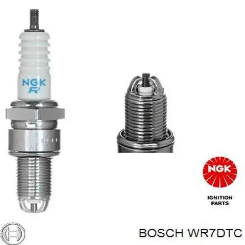  WR7DTC Bosch