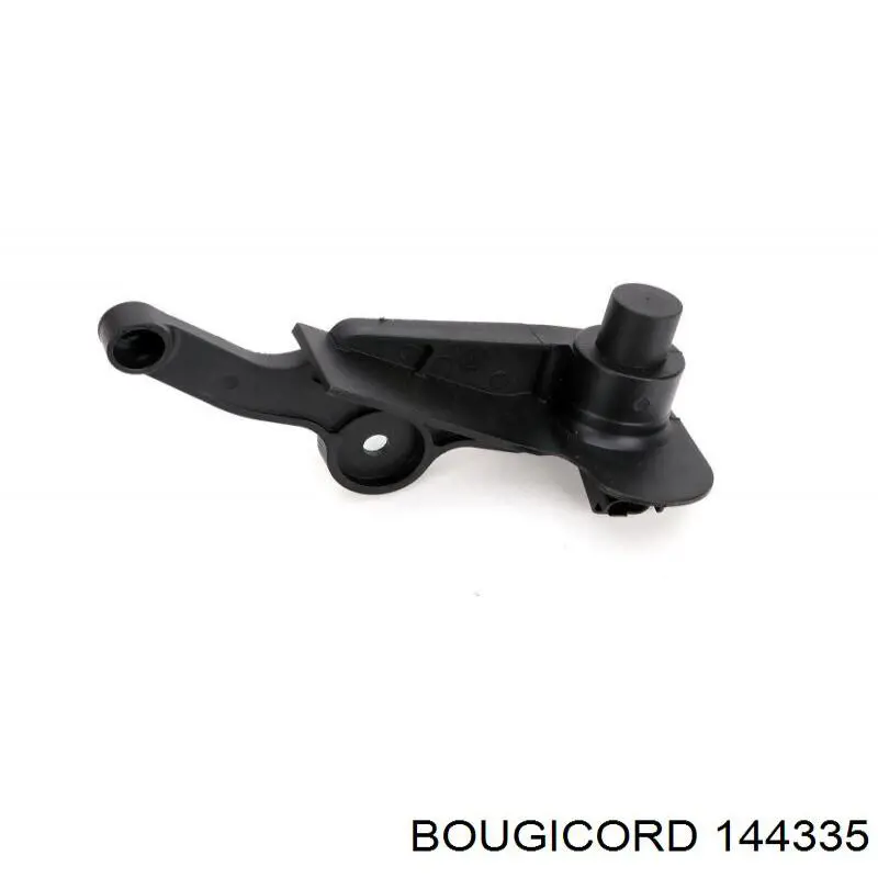 144335 Bougicord