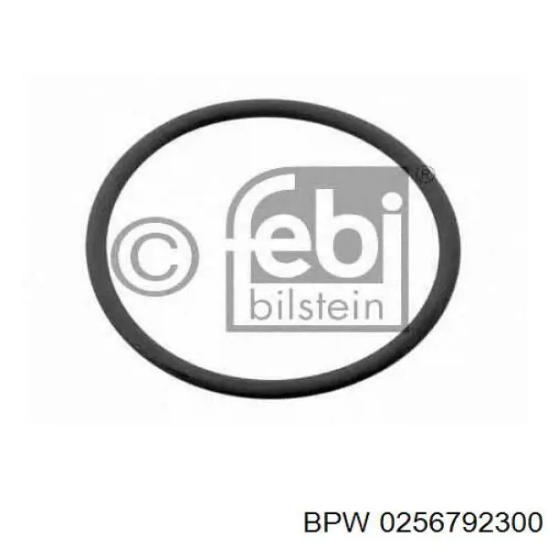 0256792300 BPW Уплотнительное кольцо, универсальное