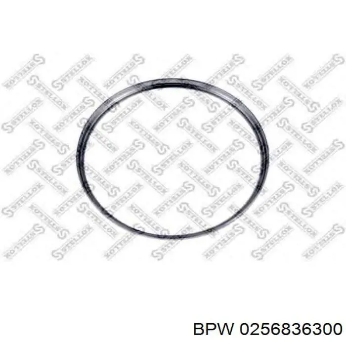 Купить 0256836300 BPW 