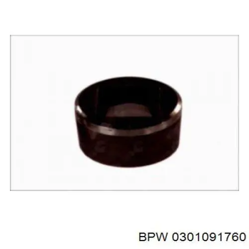  BPW 0301091760 цена, от 47.54 USD
