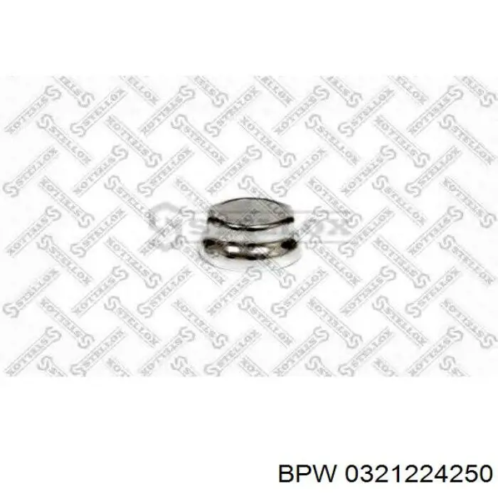 Купить 0321224250 BPW Заглушка ступицы