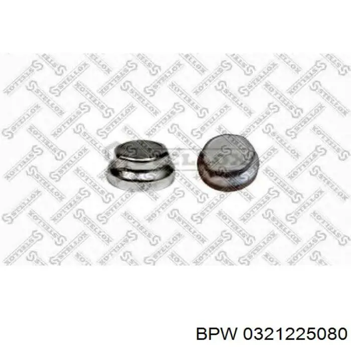 Заглушка ступицы 0321225080 BPW