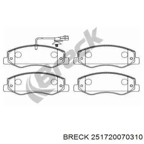 Задние тормозные колодки 251720070310 Breck