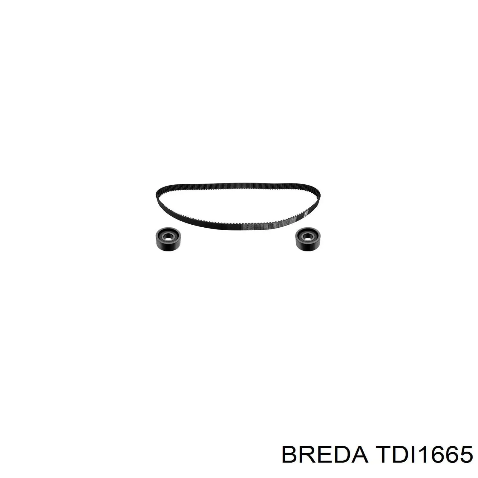 TDI1665 Breda Паразитный ведущий ролик