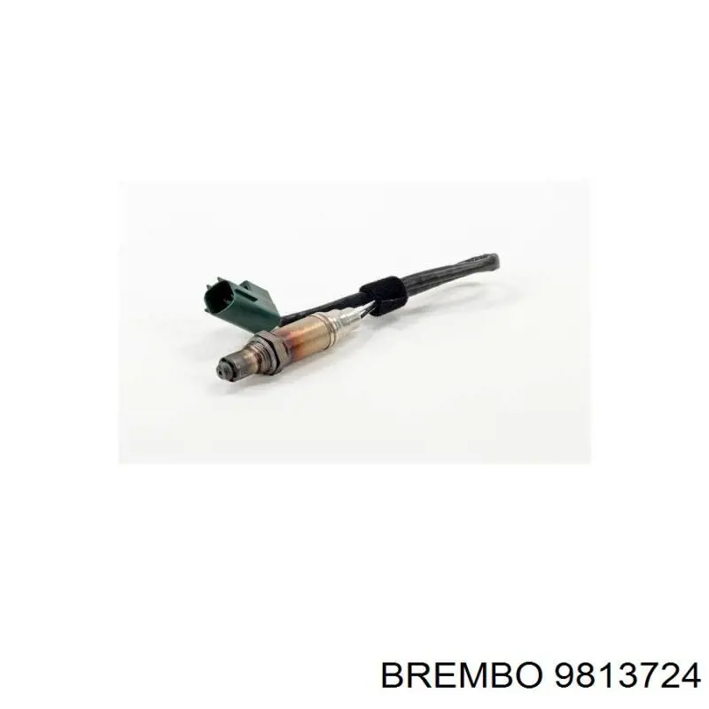 Передние тормозные диски 9813724 Brembo