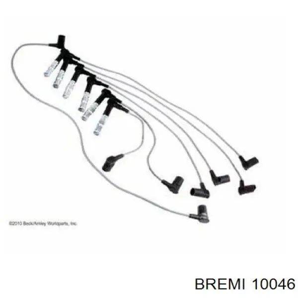  10046 Bremi