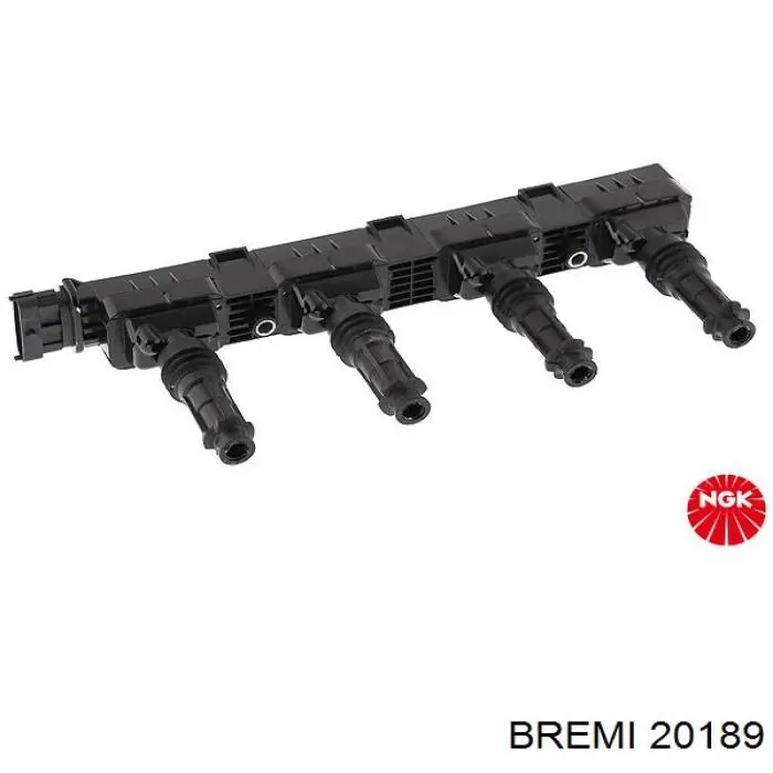 20189 Bremi