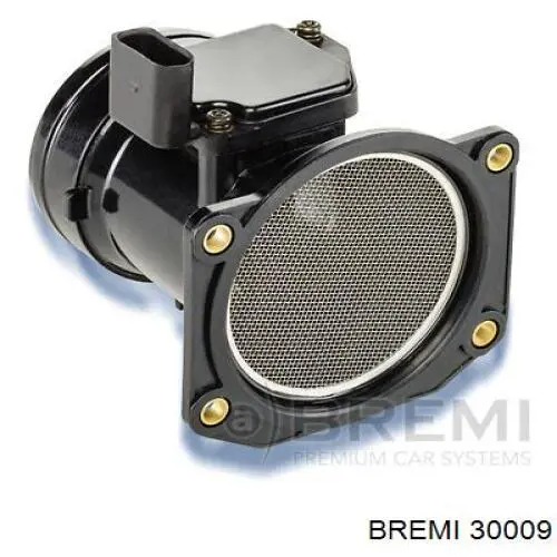 30009 Bremi