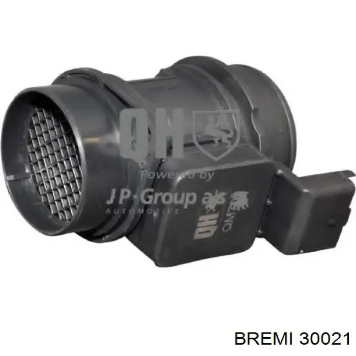 30021 Bremi