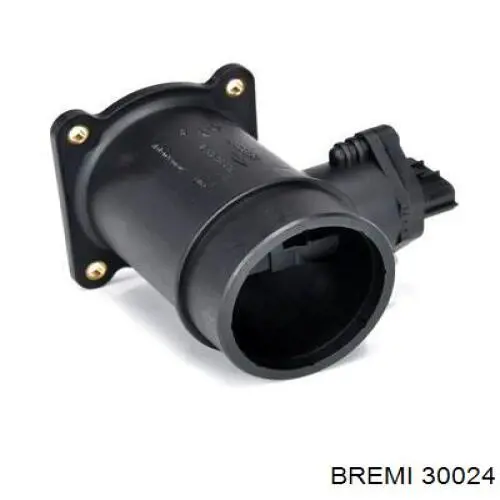 30024 Bremi