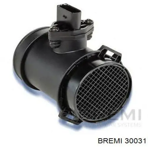 30031 Bremi