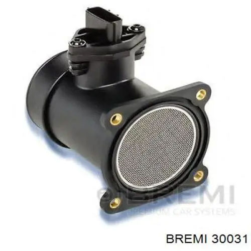 30031 Bremi