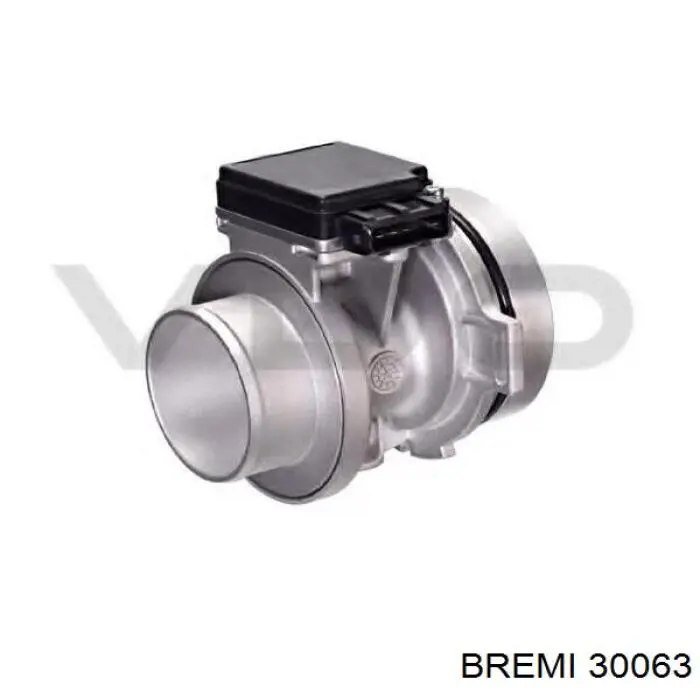 30063 Bremi