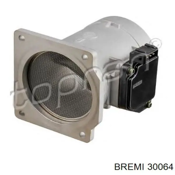 30064 Bremi