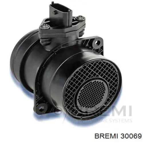 30069 Bremi