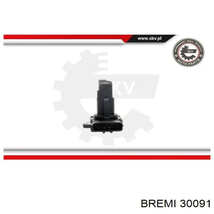 30091 Bremi