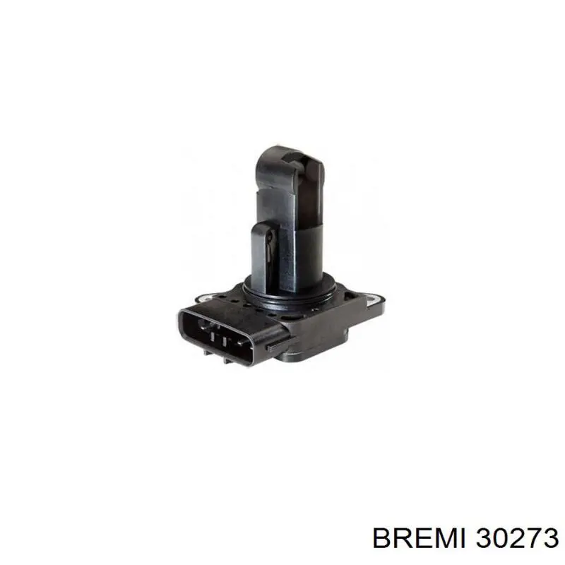 30273 Bremi