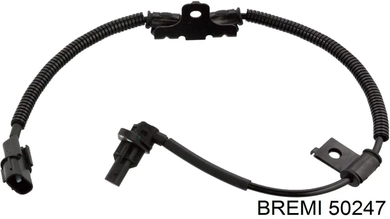 50247 Bremi