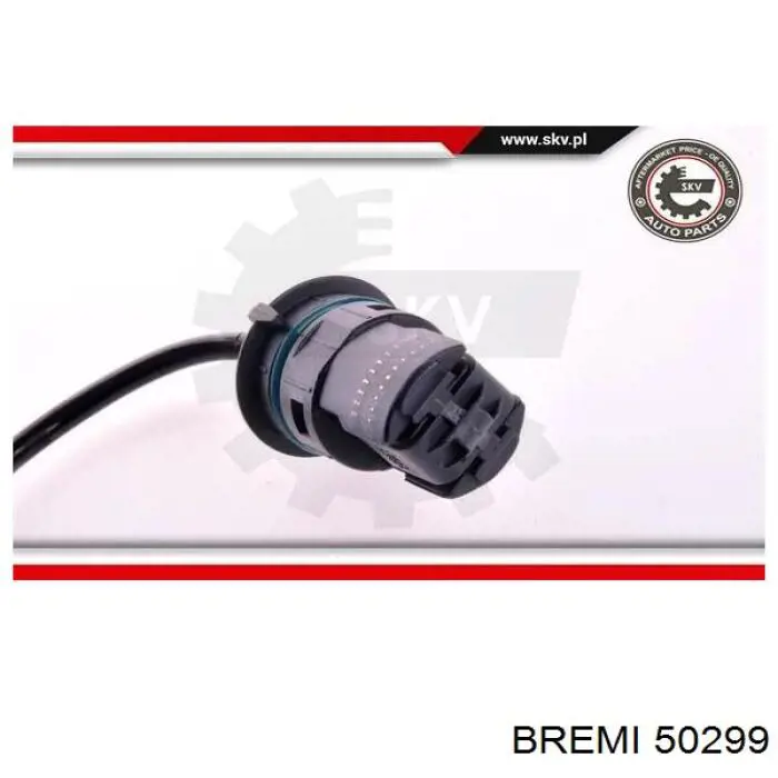 50299 Bremi