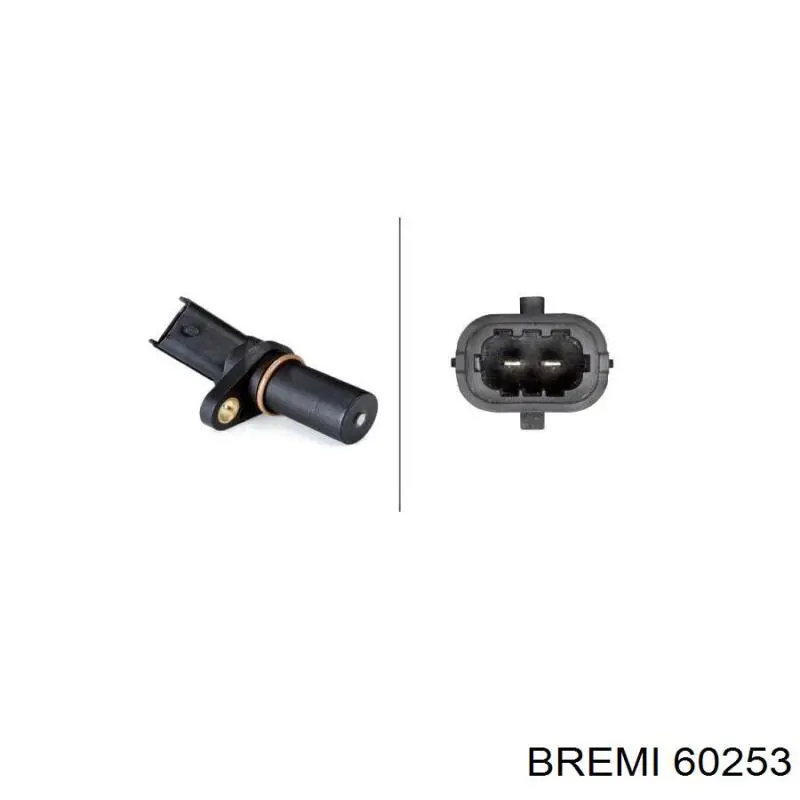 60253 Bremi