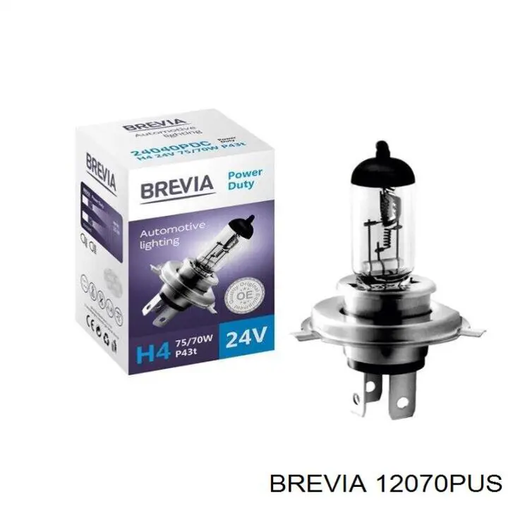 12070PUS Brevia 