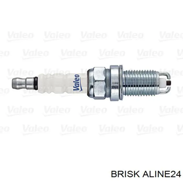 ALINE24 Brisk 