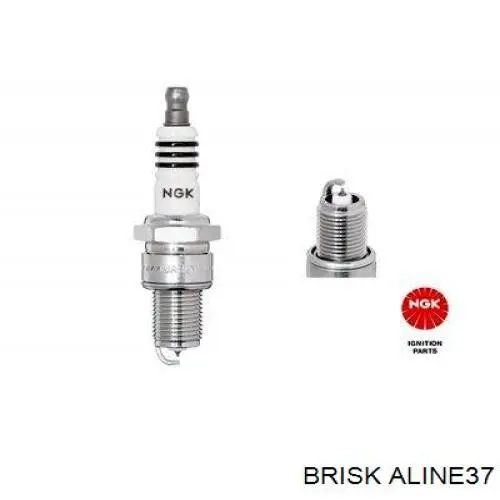 ALINE37 Brisk